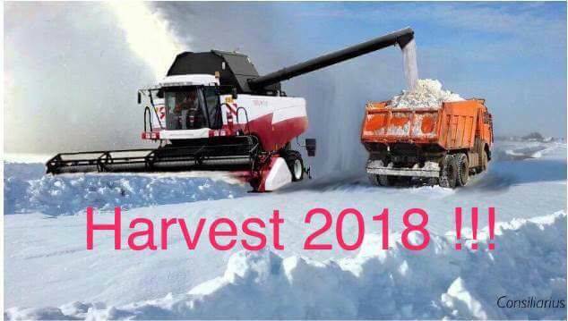 Harvest 2018.jpg