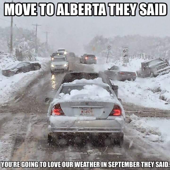 Move to Alberta.jpg