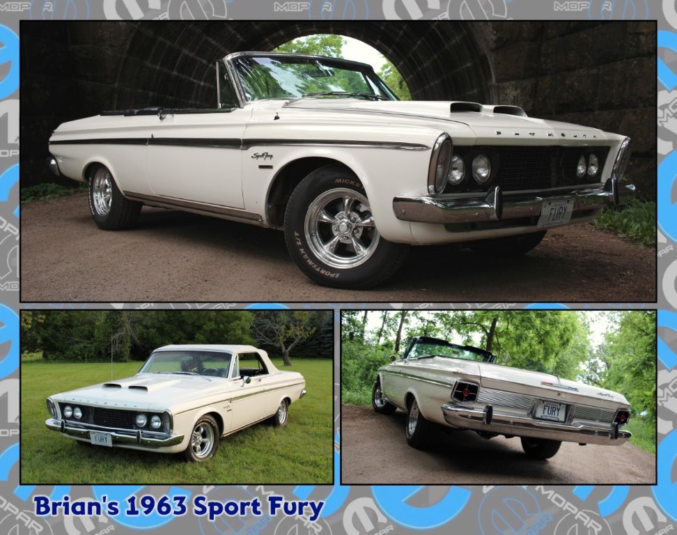 05_Brains_Fury (Large).jpg