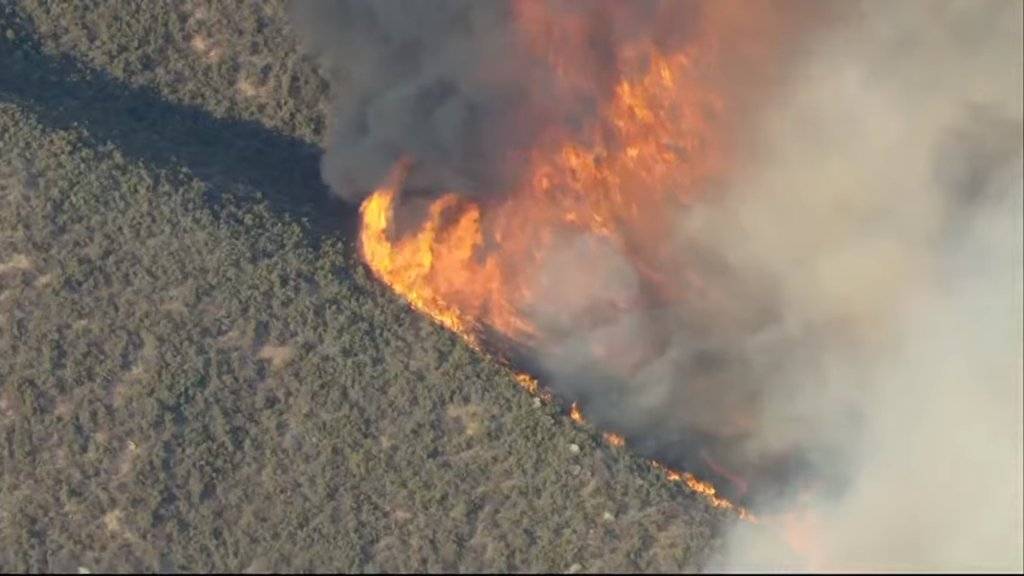 08-31-22.FOX 10 Phoenix LIVE Castaic Southern California brush fire.002.jpg