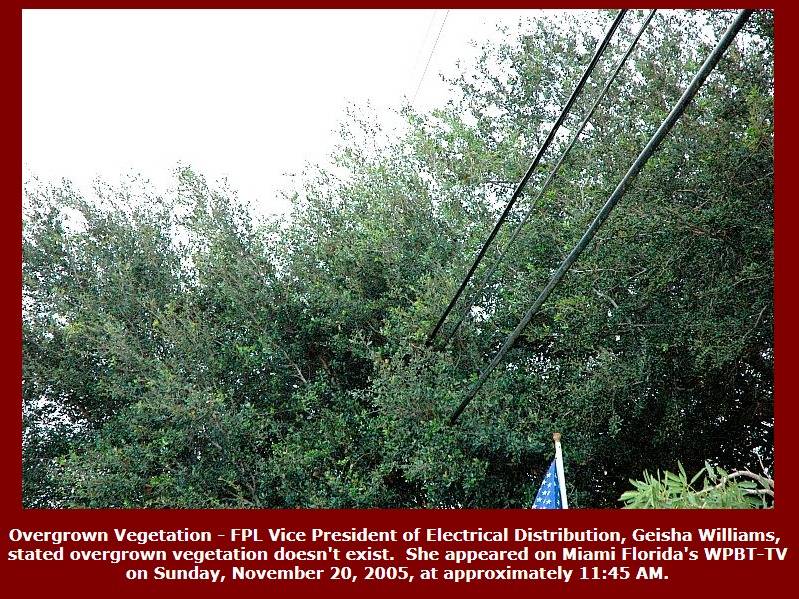 10-07-19.FPL Fraud_fpl-fraud.com.jpg