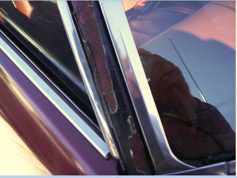 100359 2016 gator grain.jpg