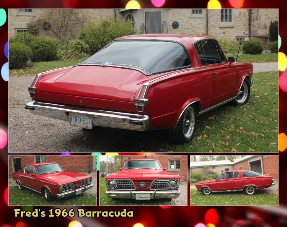 12_Fred_Cuda (Large).jpg