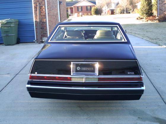 13365361078622 1.jpg