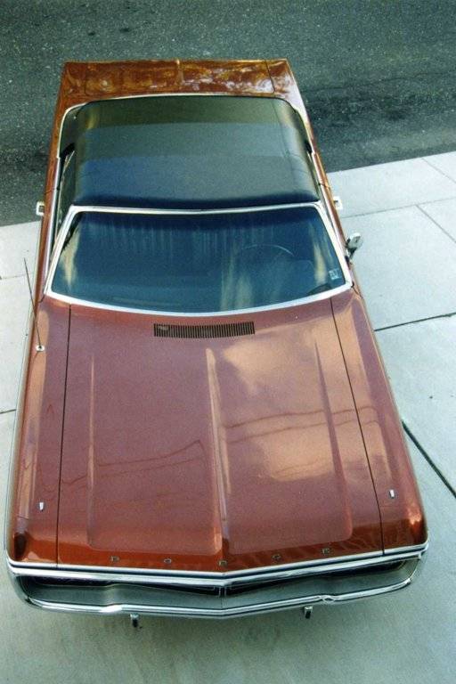 187134 2004  18 feet of love001.jpg