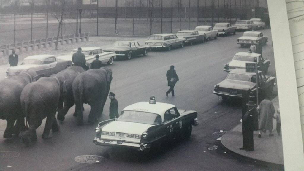 1960 Dodge 40 PCT 2.JPG