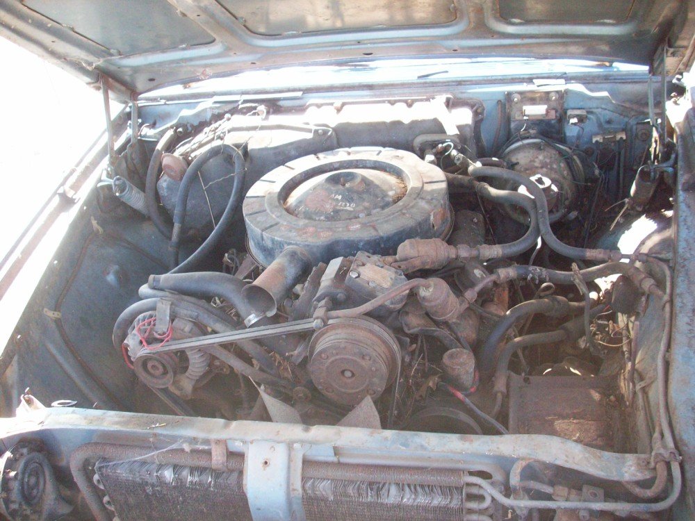 1964 Newport eng.jpg