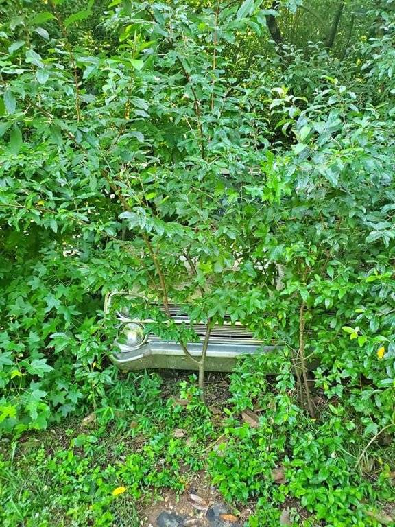 1967 Plymouth Fury Wagon in Bushes.jpg