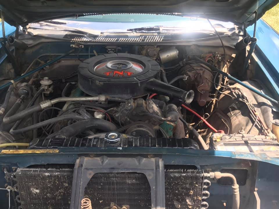 1969 chrysler 300 5.jpg