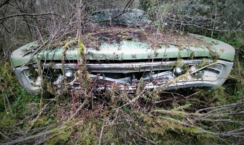 1971 Plymouth Fury in WEEDS.jpg