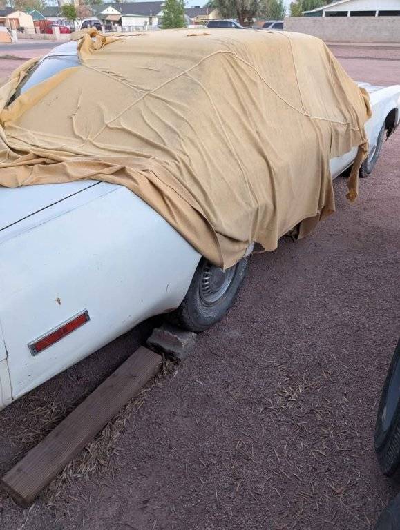 1977 Plymouth grand fury Interceptor $5,000 Phoenix, AZ,001.jpg