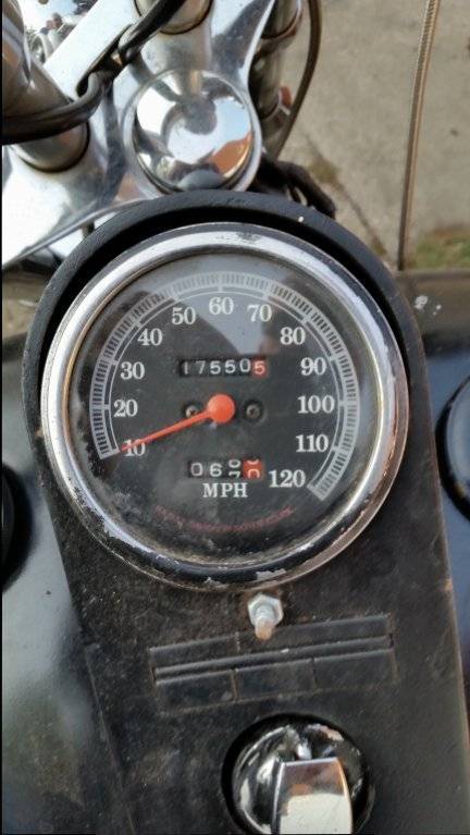 1987 Softail Black (6).jpg