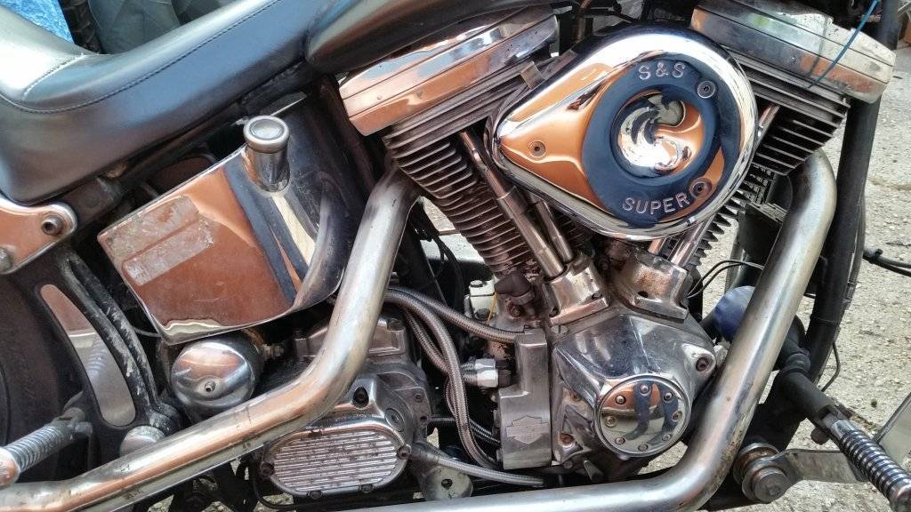 1987 Softail Black (8).jpg