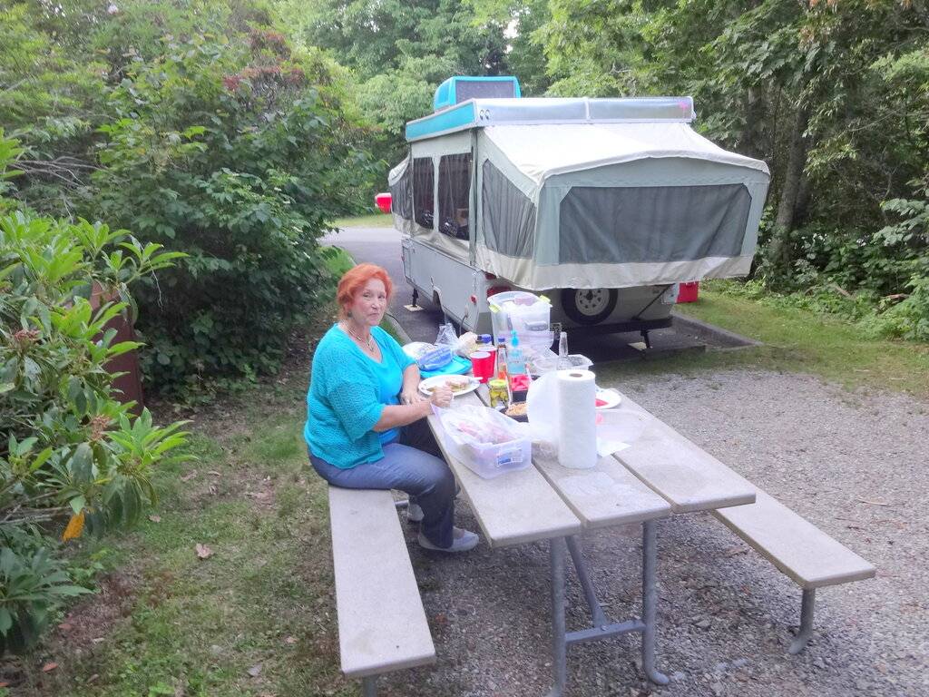 1st campsite blueridge parkway 2.jpg