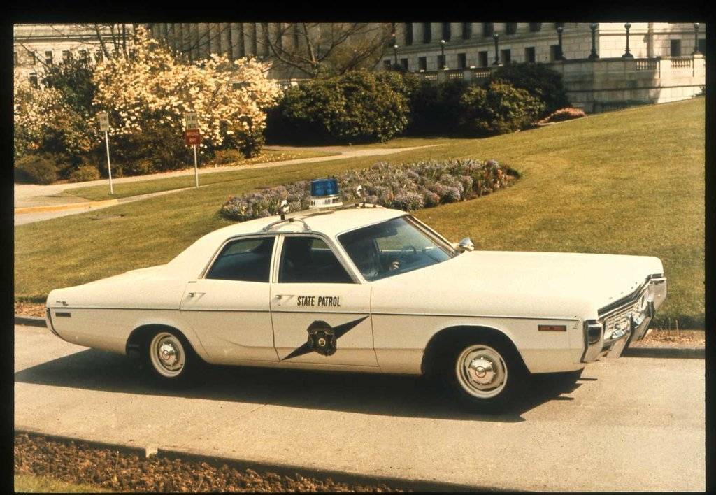 1WawspHerg1 (10).jpg