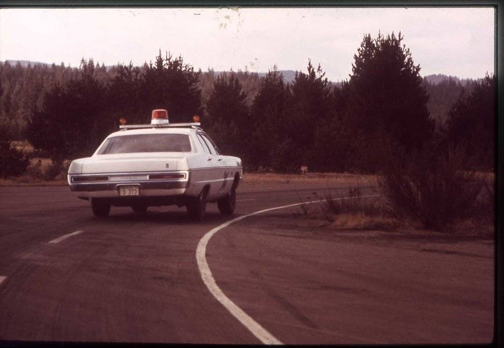 1WawspHerg1 (51).jpg