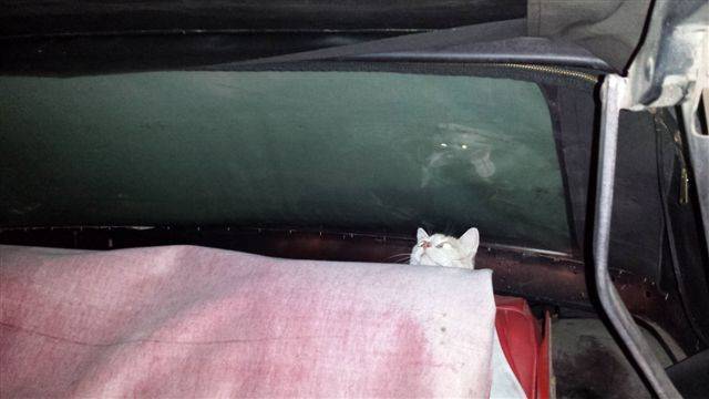 20140417_201831 (2).jpg