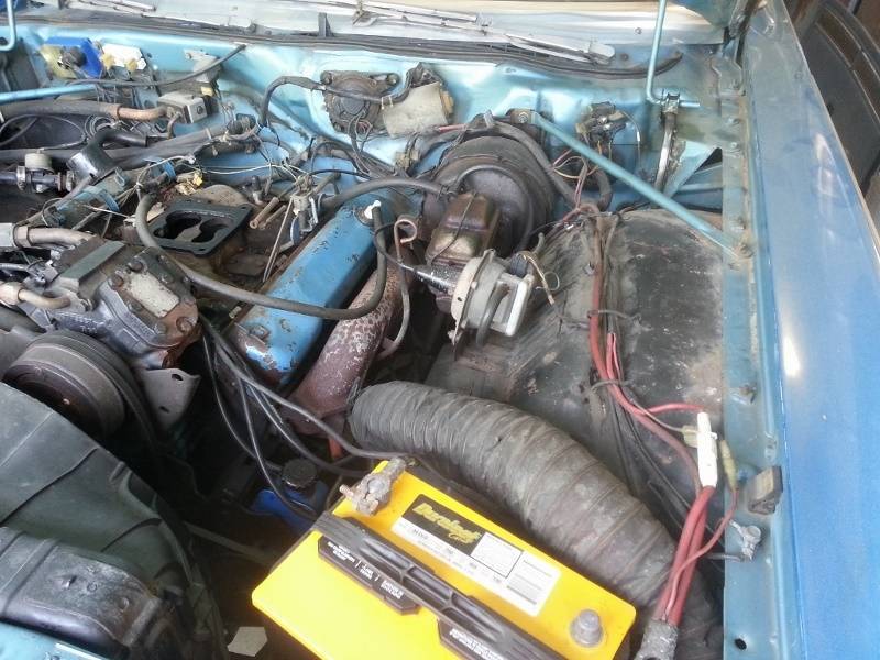 20140418_113041 (1024x768) (800x600).jpg