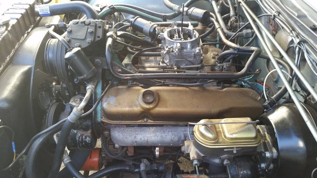 2015-11-14 12.58.20.jpg