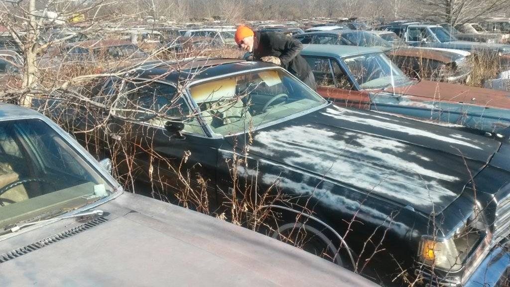 2015-11-28 11.37.41.jpg