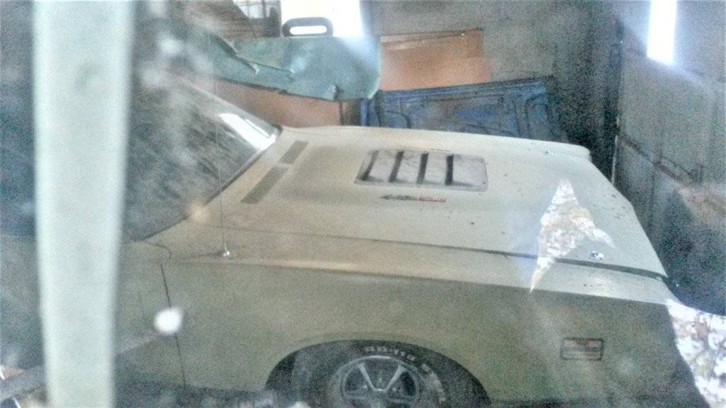 2015-11-28 12.52.00.jpg