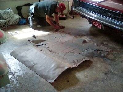 2016-05-03 15.12.54.jpg