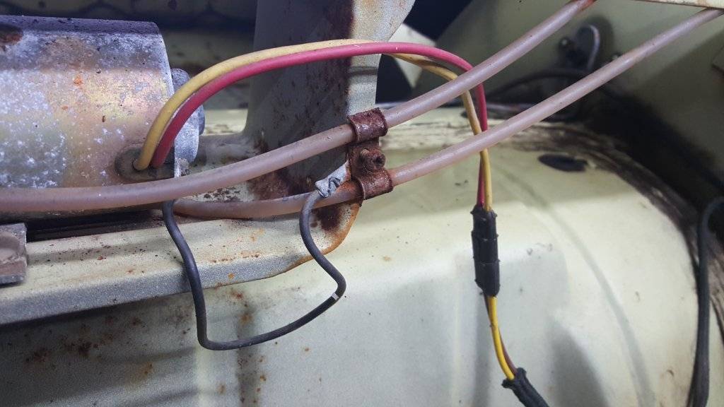 2016-11-24 11.53.54.jpg