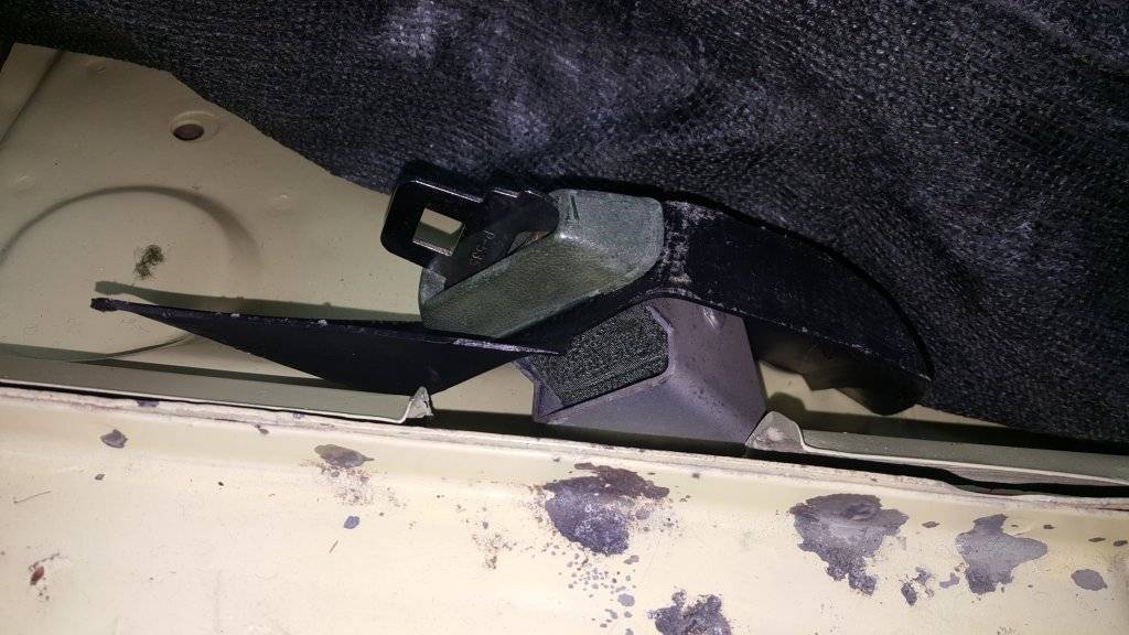 2017-05-18 19.40.25.jpg