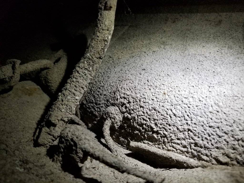 2017-09-17 11.39.13.jpg