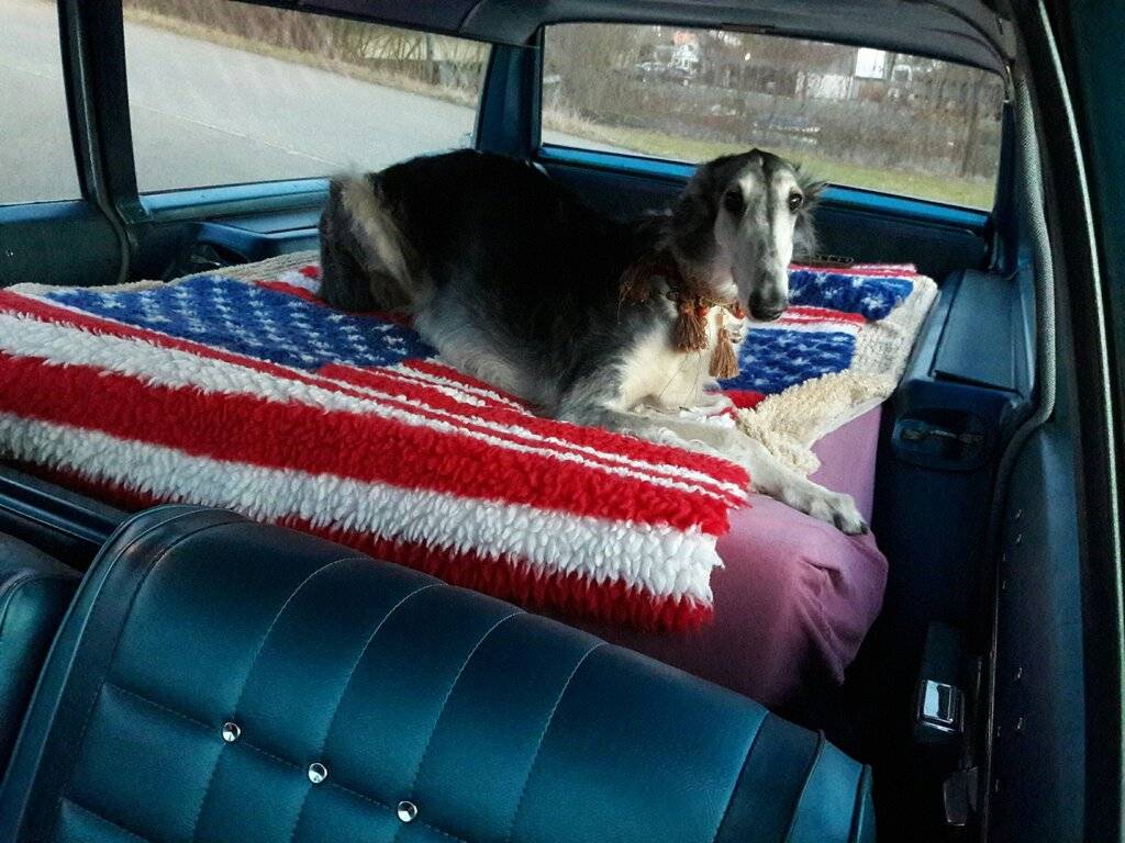 20170225_1821 Atagora.jpg