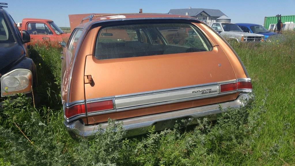 20170627_152438 (Large).jpg