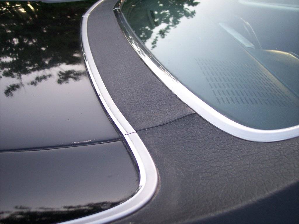 2018-07-01 00.12.51.jpg