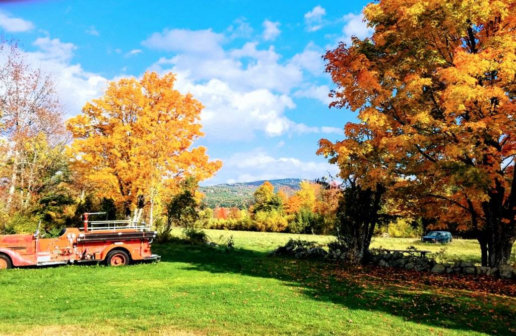 2018-10-13 07.13.29.jpg