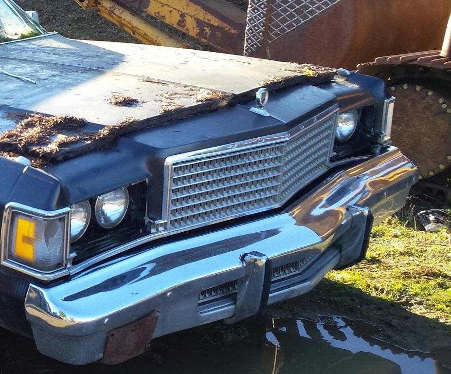 20180204_151225-1 (2).jpg