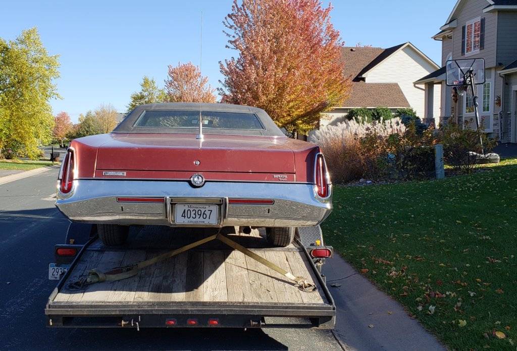 20181018_052045 (1).jpg