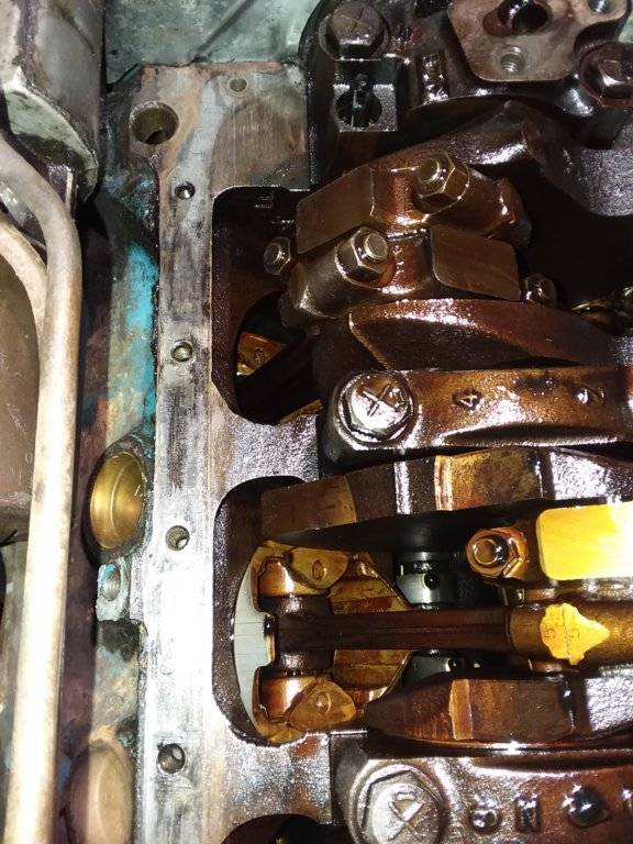 20181104_171233 LS.jpg