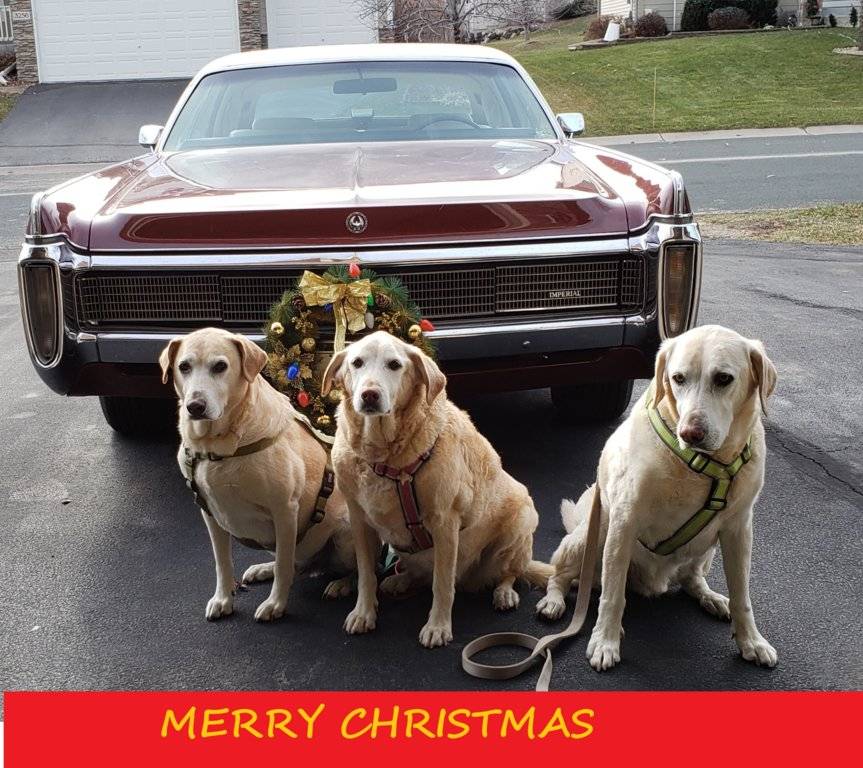 20181222_183302 (1)v.jpg