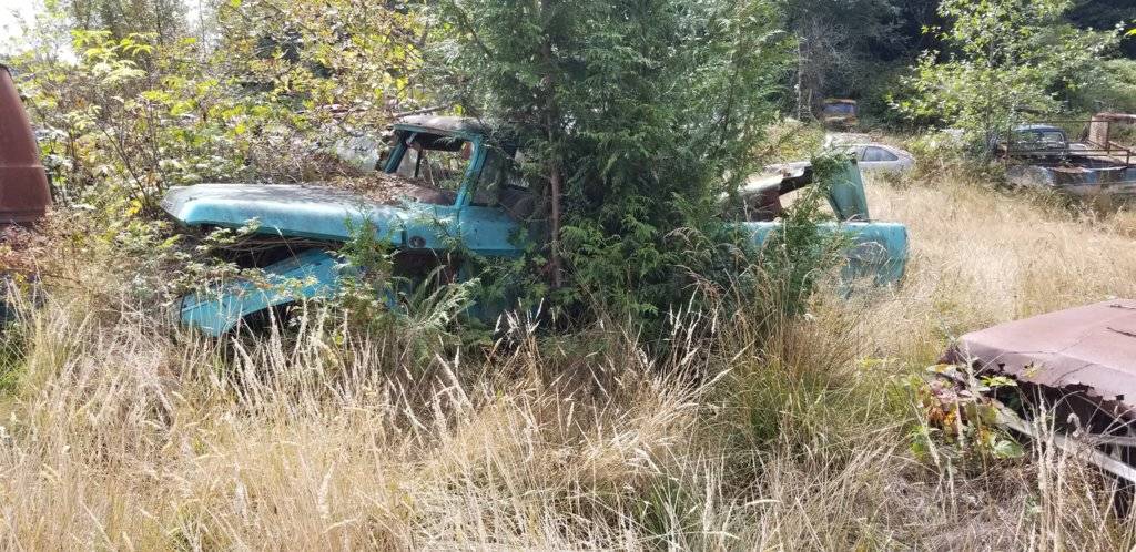 2019-08-31 13.25.14.jpg