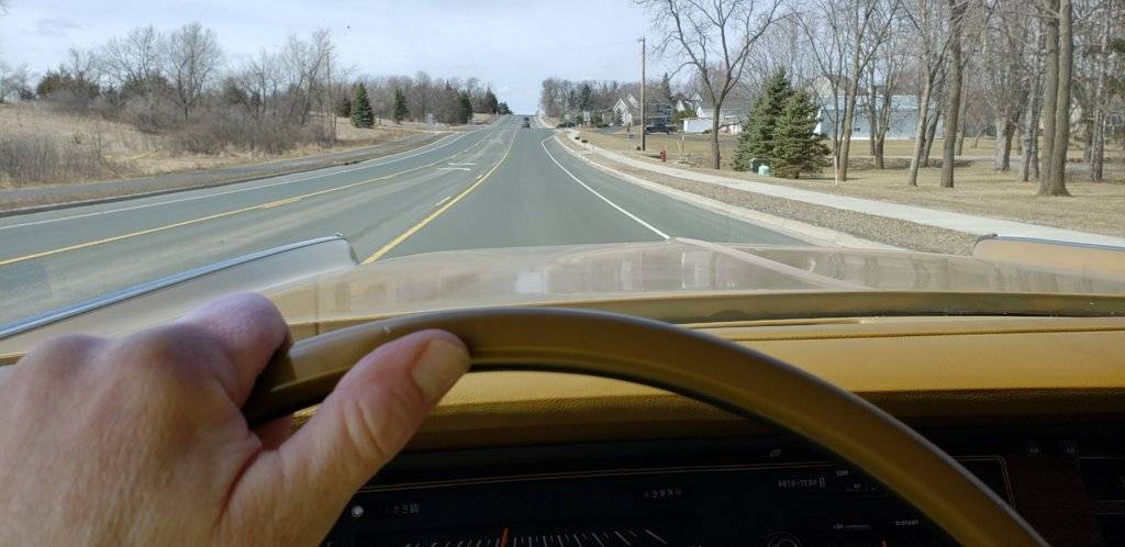 20190331_123919(0) (1).jpg