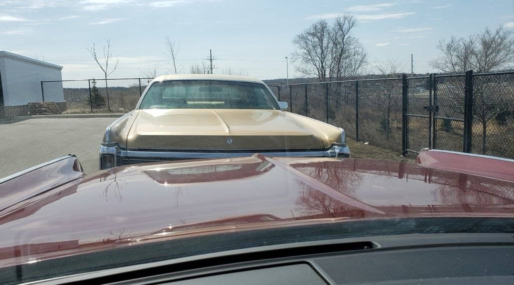 20190331_140505 (1).jpg