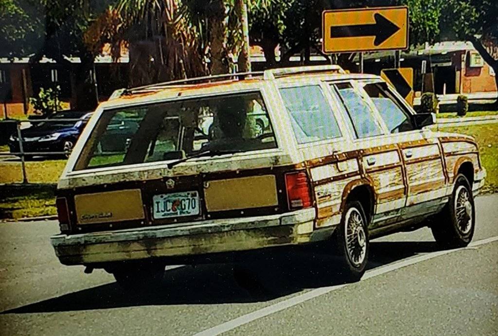 20190407_180625 (1).jpg