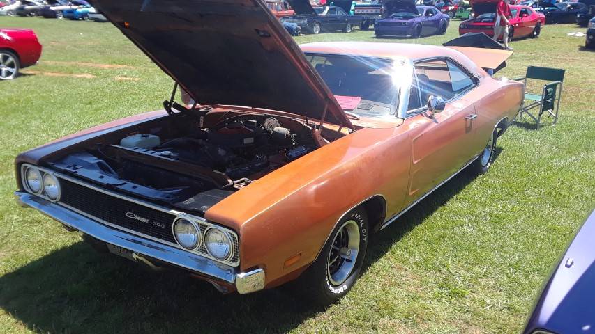 20190427_121338 (Small).jpg