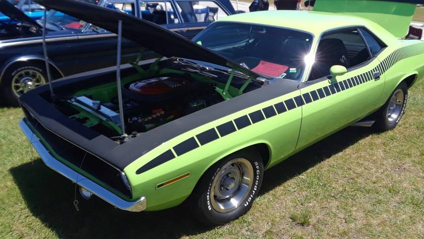 20190427_131556 (Small).jpg