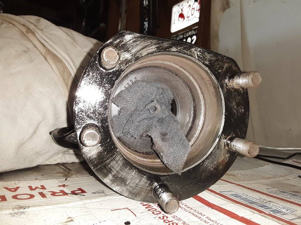 20190518_172725 LS.jpg