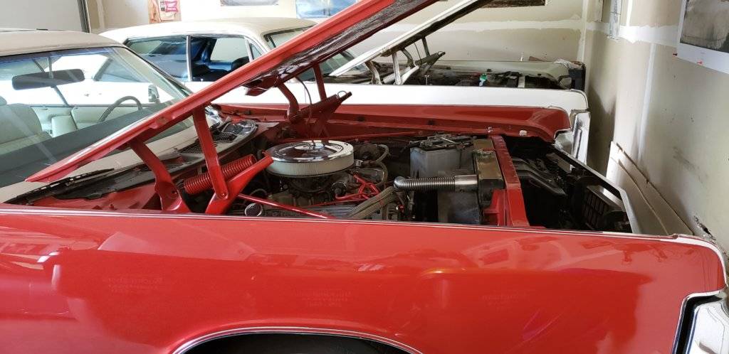 20190601_180433 (1).jpg