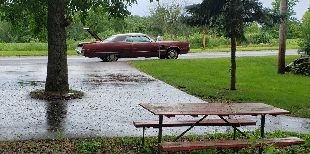 20190624_170744 (1).jpg