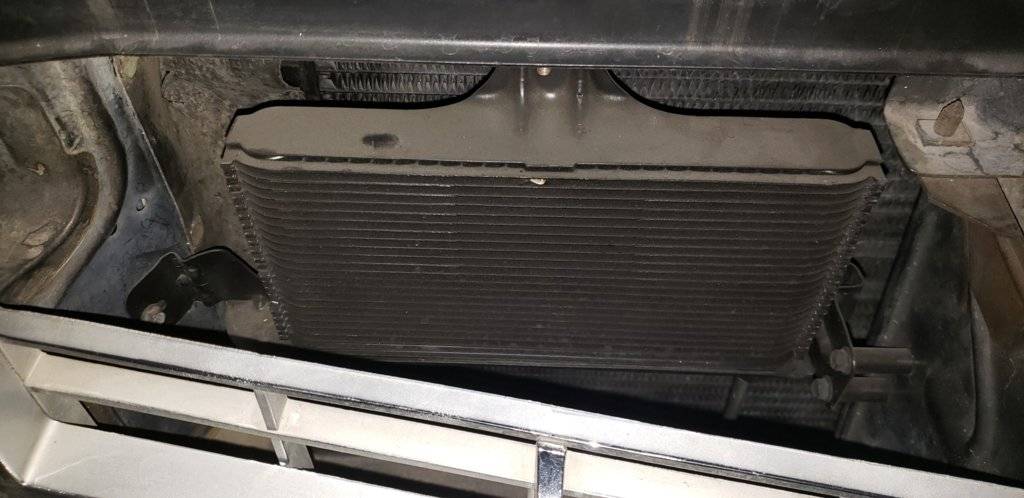 20200208_203252_resized (1).jpg