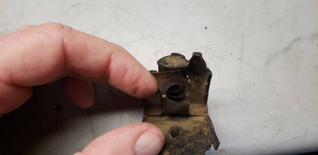 20200419_081648_resized (1).jpg