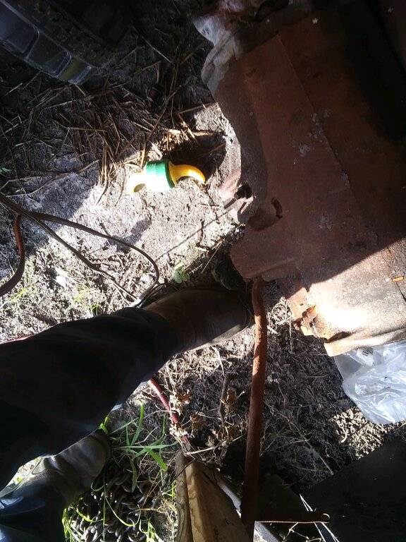 20200616_182245_Burst01 (1).jpg