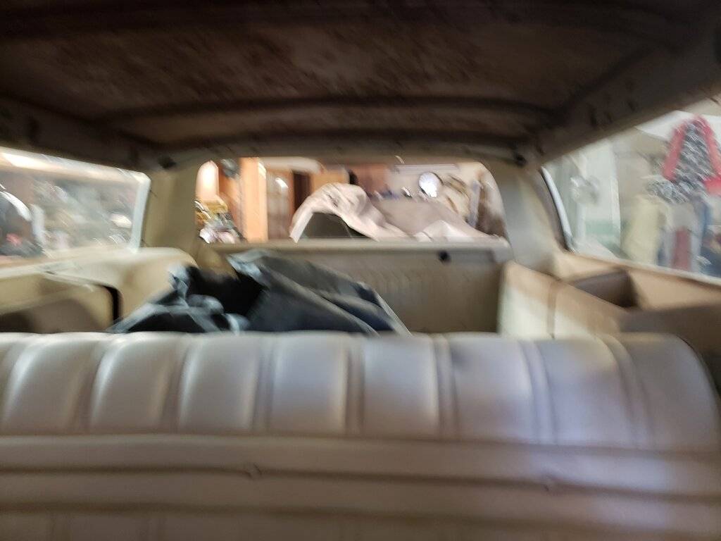 20200719_084707_resized_1 (1).jpg